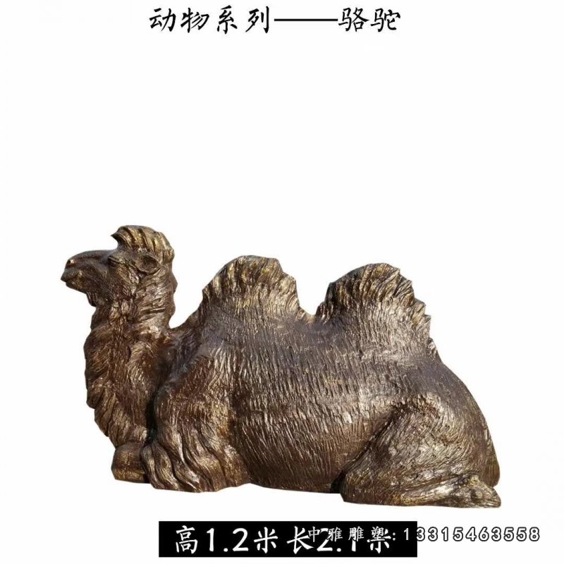 铸铜动物骆驼雕塑4