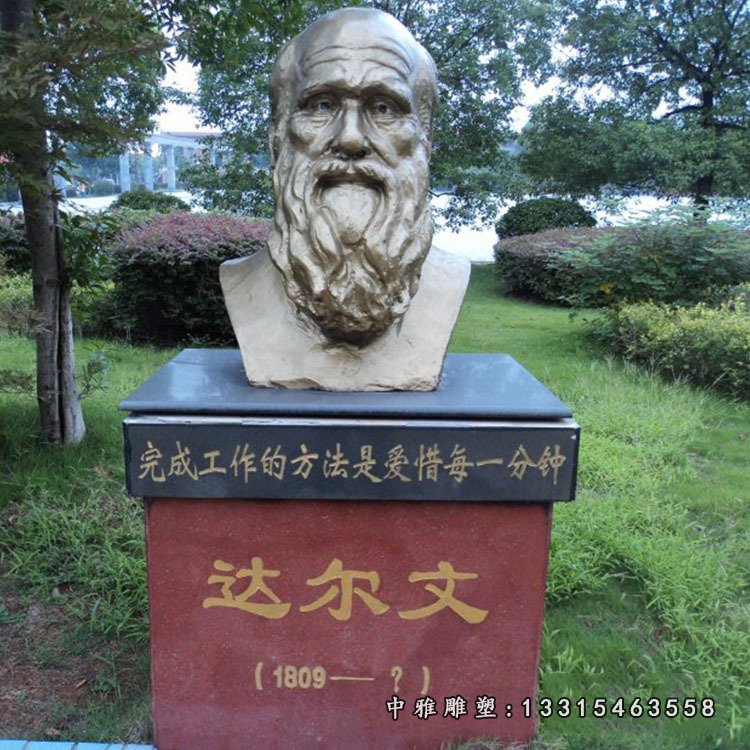 铜雕校园达尔文肖像雕塑